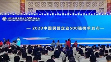 意昂2集团位列2023中国民营企业500强第203位、2023中国制造业民营企业500强第139位